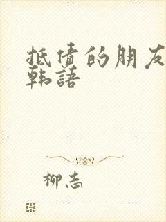 抵债的朋友麦子韩语