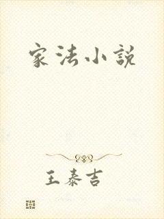 家法小说