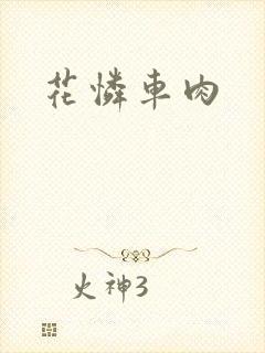 花怜车肉