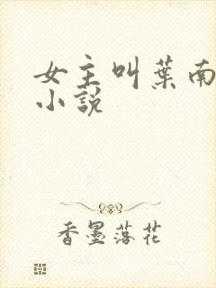 女主叫叶南初的小说