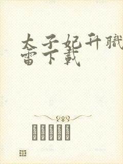 太子妃升职记迅雷下载