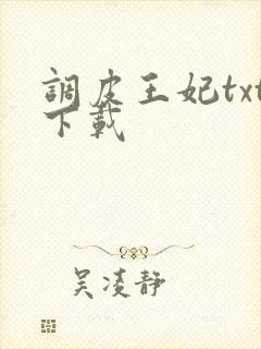 调皮王妃txt下载
