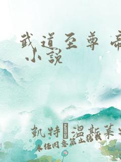 武道至尊 帝临 小说