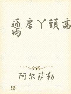 通房丫头高h纯肉