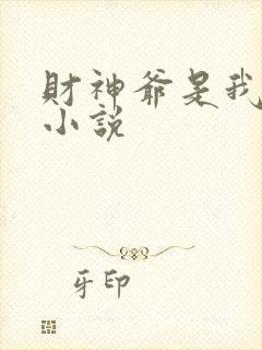 财神爷是我老板小说
