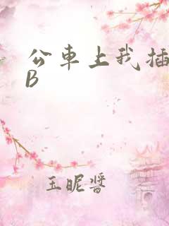 公车上我插上骚B