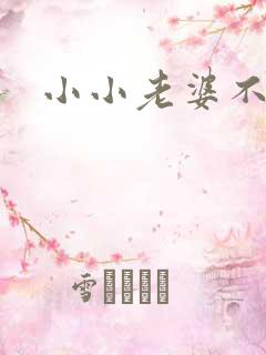 小小老婆不受宠