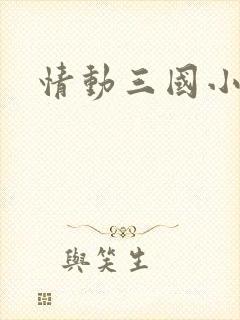 情动三国小说