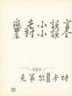 恋老小说言情网农村小说全文阅读