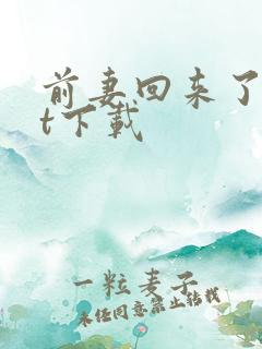 前妻回来了txt下载