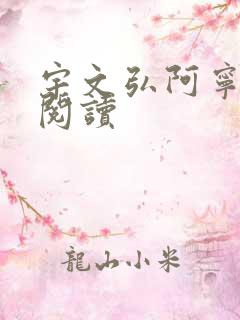 宇文弘阿宁全文阅读