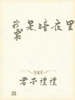 我是暗夜里的罂粟