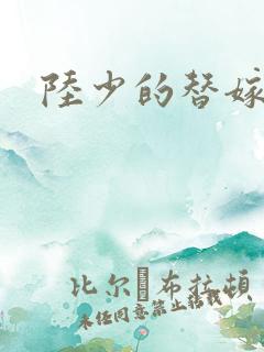 陆少的替嫁宠妻