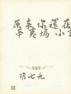 原来你还在这里 辛夷坞 小说