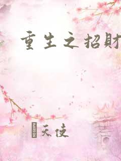 重生之招财进宝