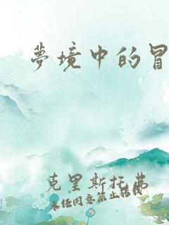 梦境中的冒险家
