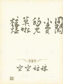 校草的小同桌撩爆啦免费阅读