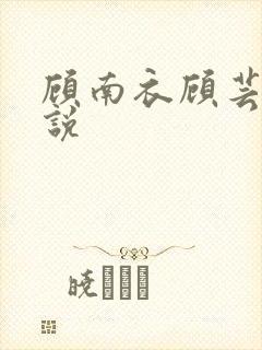 顾南衣顾芸沐小说