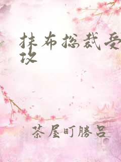 抹布总裁受多人攻