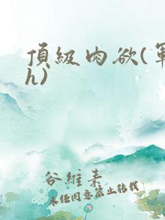 顶级肉欲(军高h)