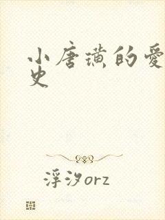 小唐璜的爱情历史