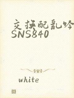 交换配乱吟粗大SNS840