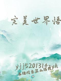 完美世界悟性石