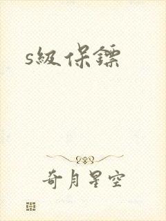 s级保镖