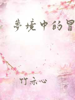 梦境中的冒险家