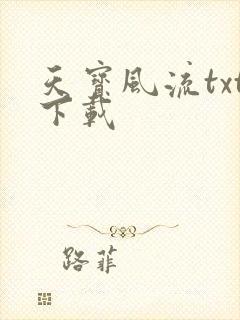 天宝风流txt下载