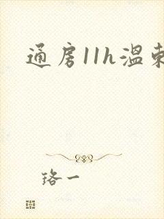 通房11h温东