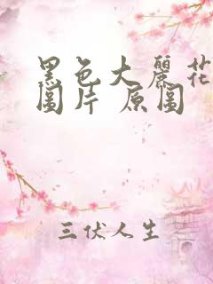 黑色大丽花真实图片 原图