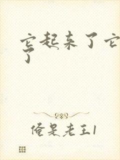 它起来了它想你了