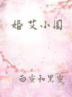 婚 艾小图