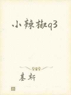小辣椒q3