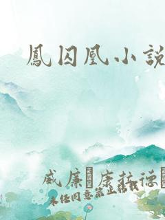 凤囚凰小说