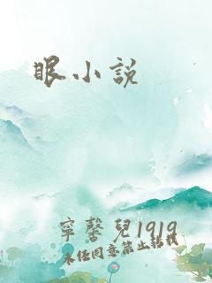 眼小说