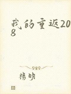 我的重返2008