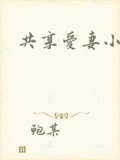 共享爱妻小说