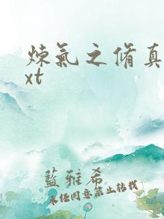 炼气之修真者txt