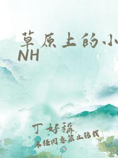 草原上的小公主NH