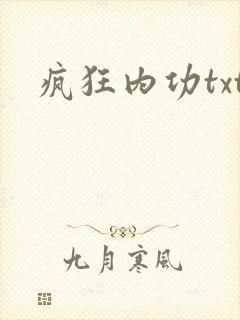 疯狂内功txt