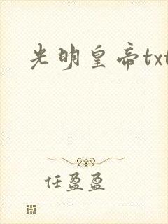 光明皇帝txt