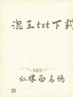 混王txt下载
