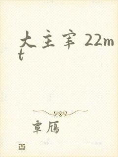 大主宰 22mt