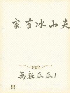 家有冰山夫