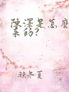 陈泽是怎么火起来的?