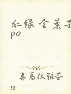 红绿 金叶子 po