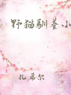 野猫驯养小说