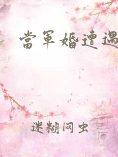 当军婚遭遇爱情